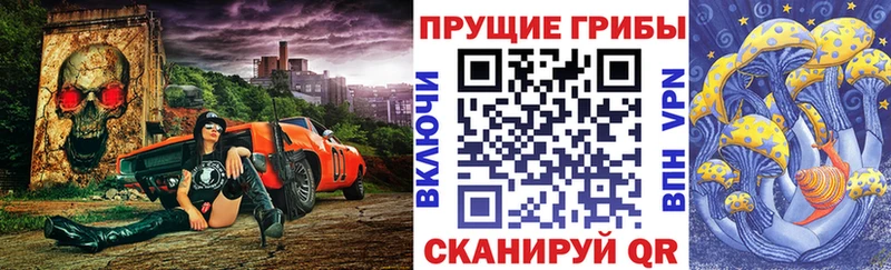 Псилоцибиновые грибы мицелий  что такое   Миллерово 