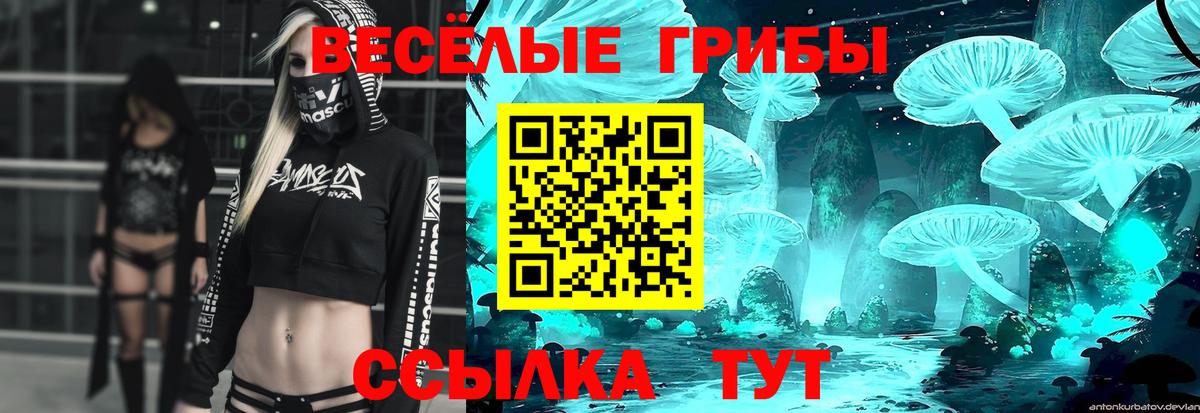 Галлюциногенные грибы мухоморы Миллерово