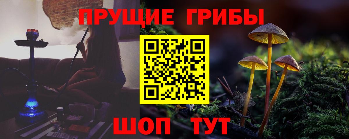 Миллерово  дарнет шоп  Галлюциногенные грибы GOLDEN TEACHER  Вход с VPN  Галлюциногенные грибы Magic Shrooms 
